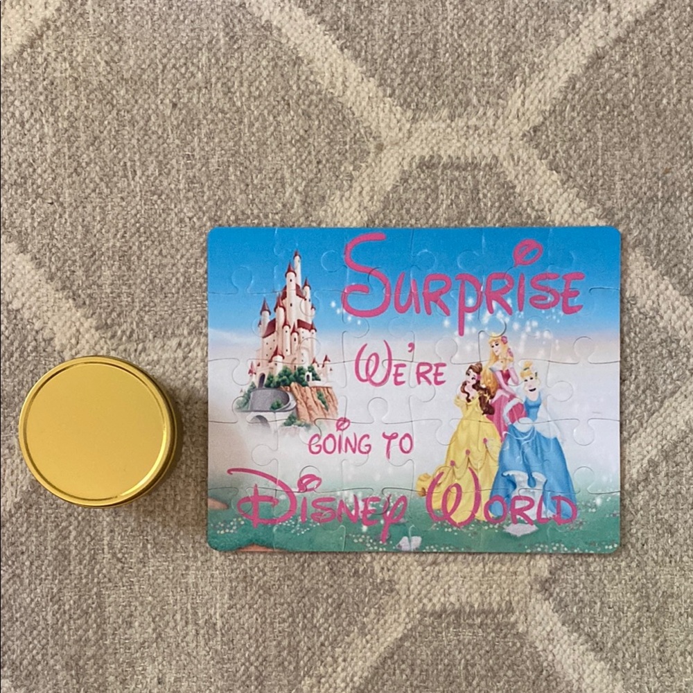 Disney Surprise We're Going to Disney World Puzzle - Pink/Blue